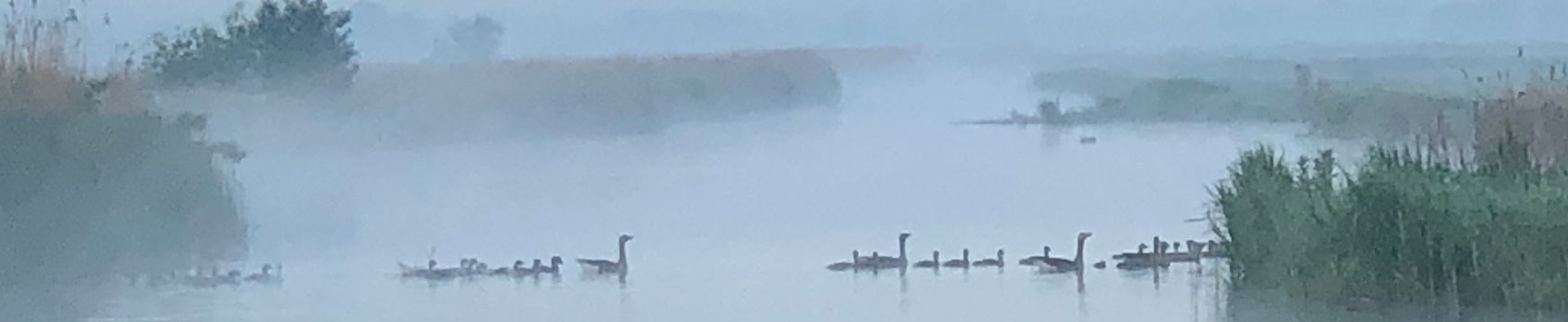 Quality4Mind-Tarieven