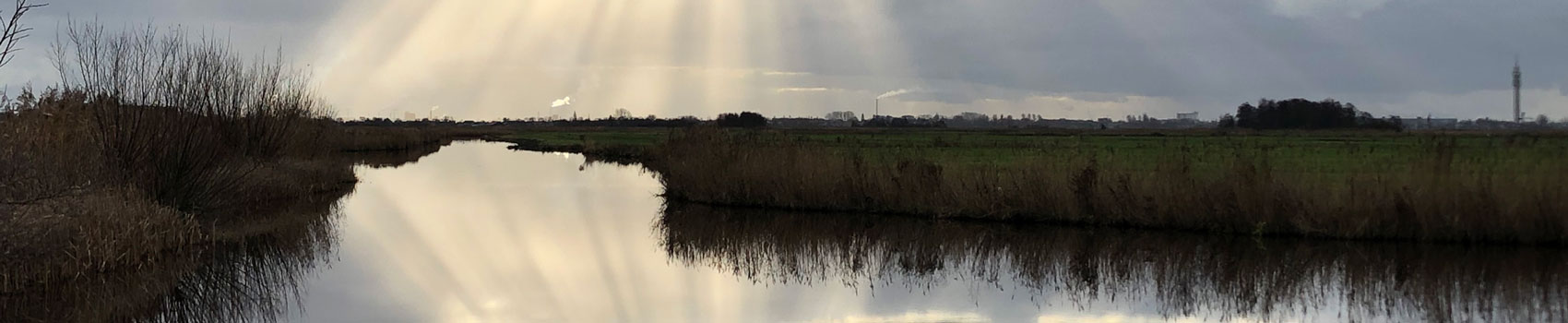 Quality4Mind-registraie-vergoeding